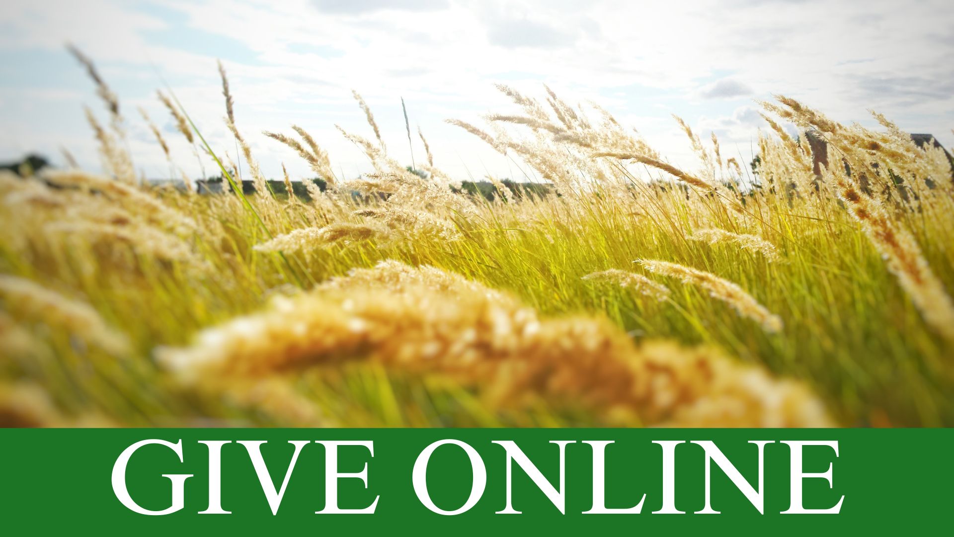 GIVEONLINE